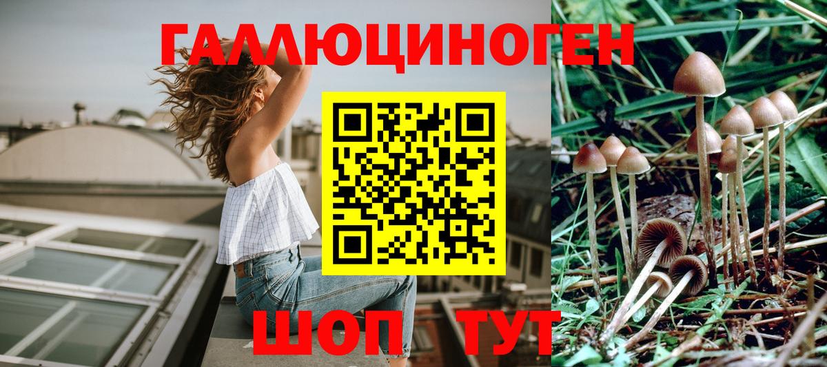 Псилоцибиновые грибы MAGIC MUSHROOMS Североуральск